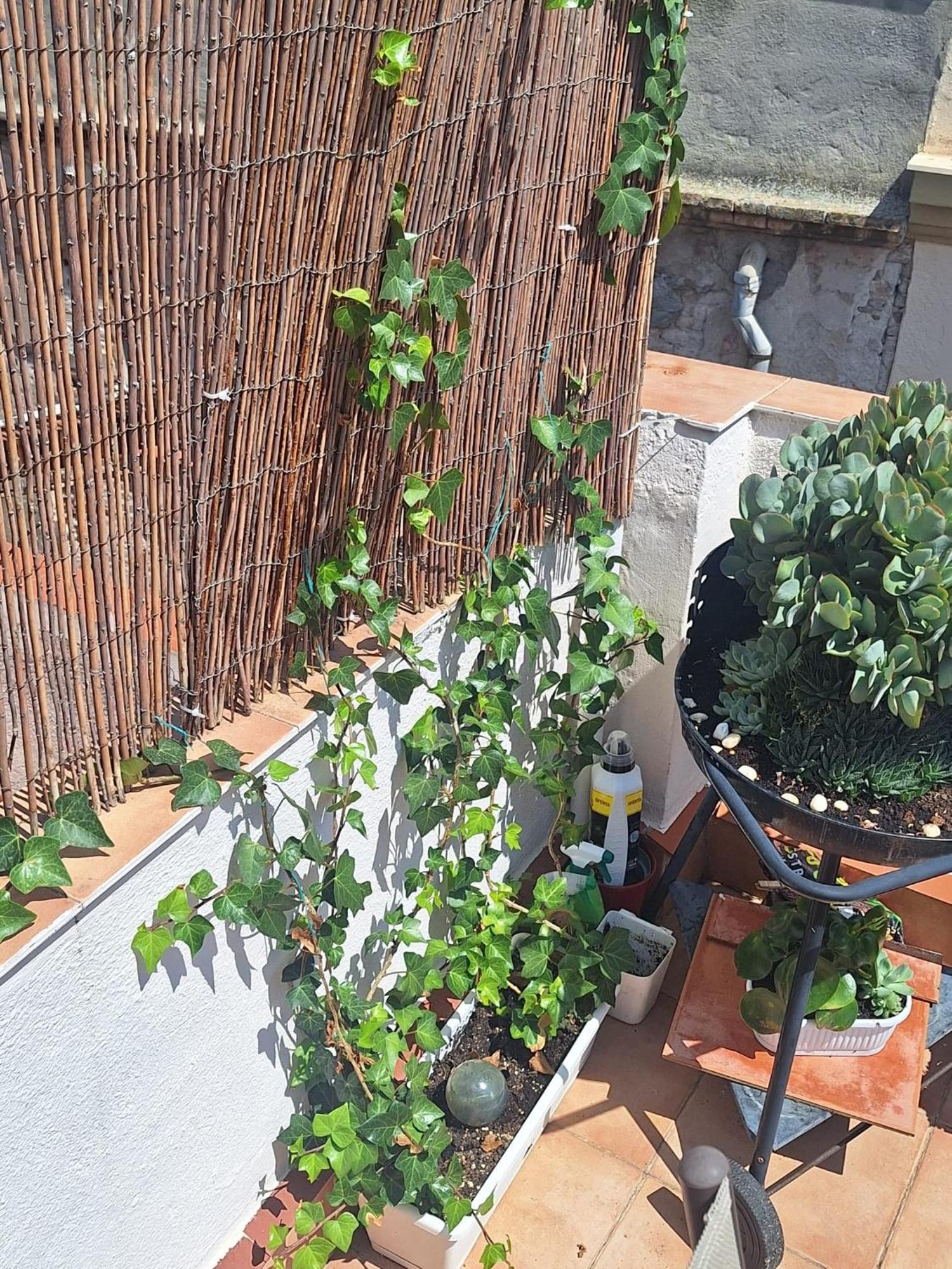 タラゴナEl Terrat De La Tecla - Duplex Casc Anticアパートメント エクステリア 写真